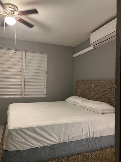 Mayaguez Spacious 3 Bedroom Villa Екстериор снимка